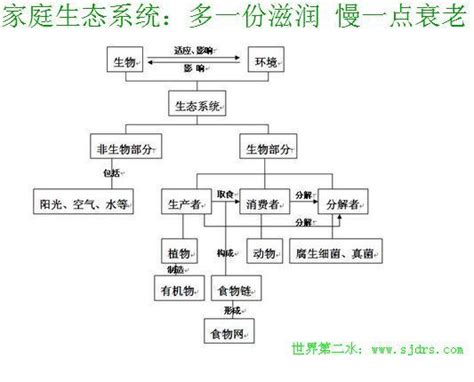 家庭生態圖是什麼 八字很硬